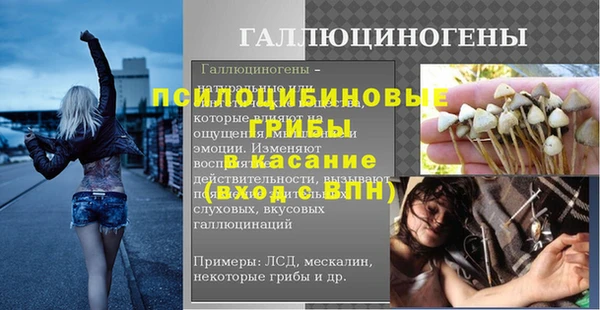 прущие крисы Белокуриха