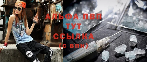 прущие крисы Белокуриха