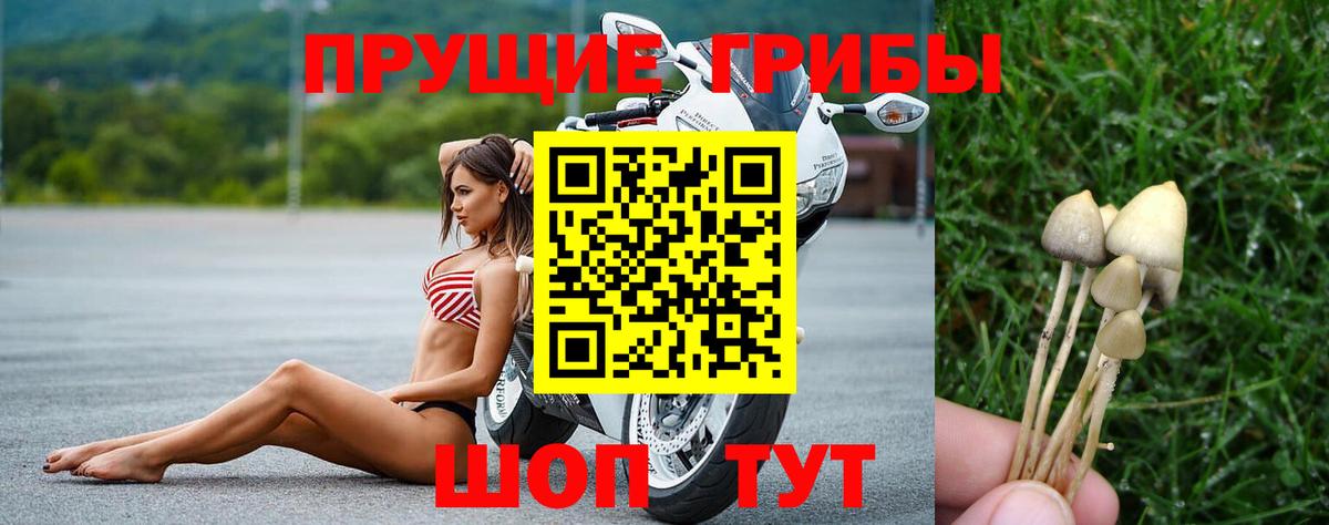 Воскресенск  Псилоцибиновые грибы прущие грибы  Вход с VPN 